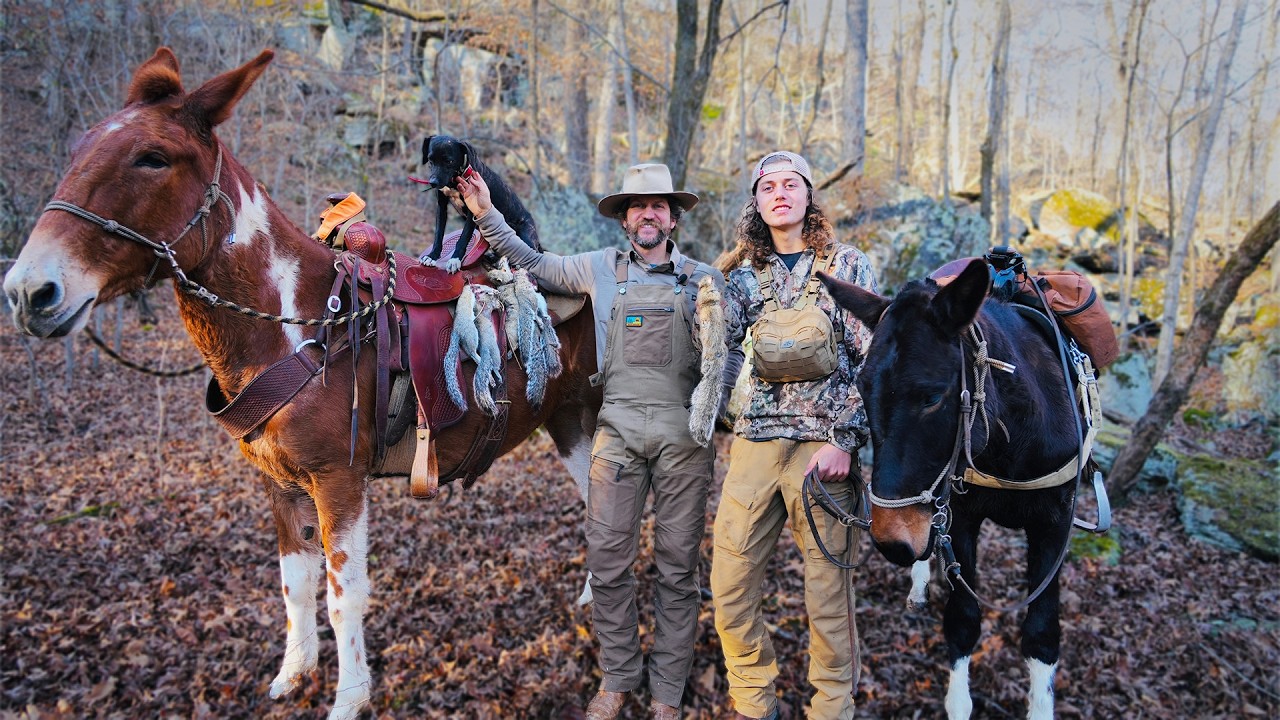 Первая стрельба по молодому мулу!!! Охота на белок в стиле 