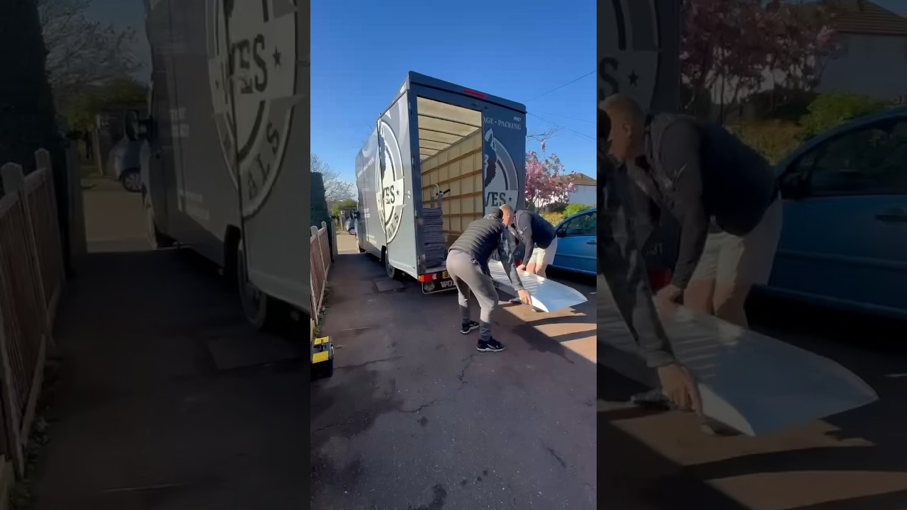 Working with Wolves Removals #removal #moving #working #vans #short
