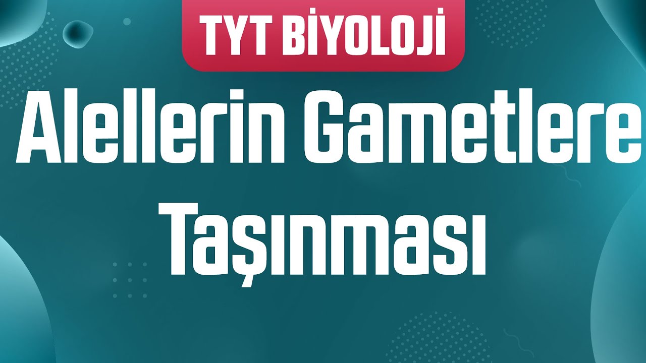 38) Alellerin Gametlere Taşınması , Gamet Çeşidi Bulma