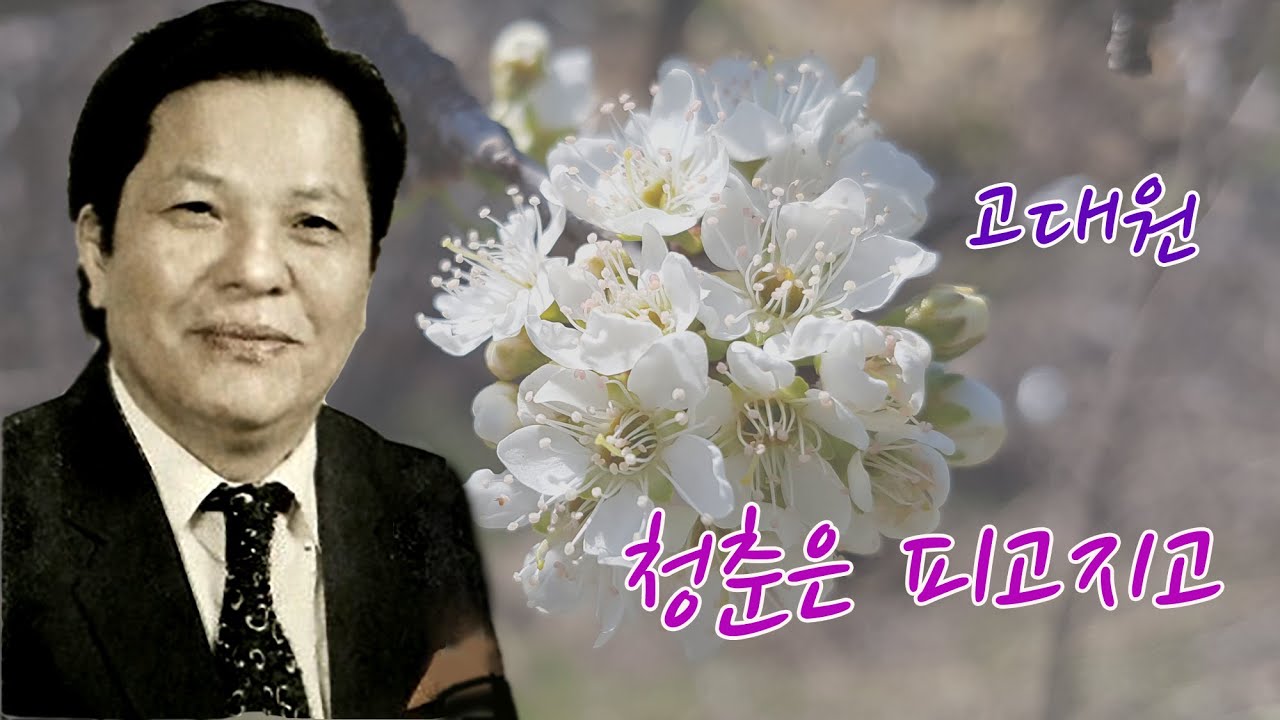 고대원-청춘은 피고지고 /스타365