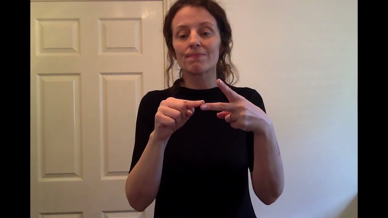 BSL Receptive Practise [CCs Available]