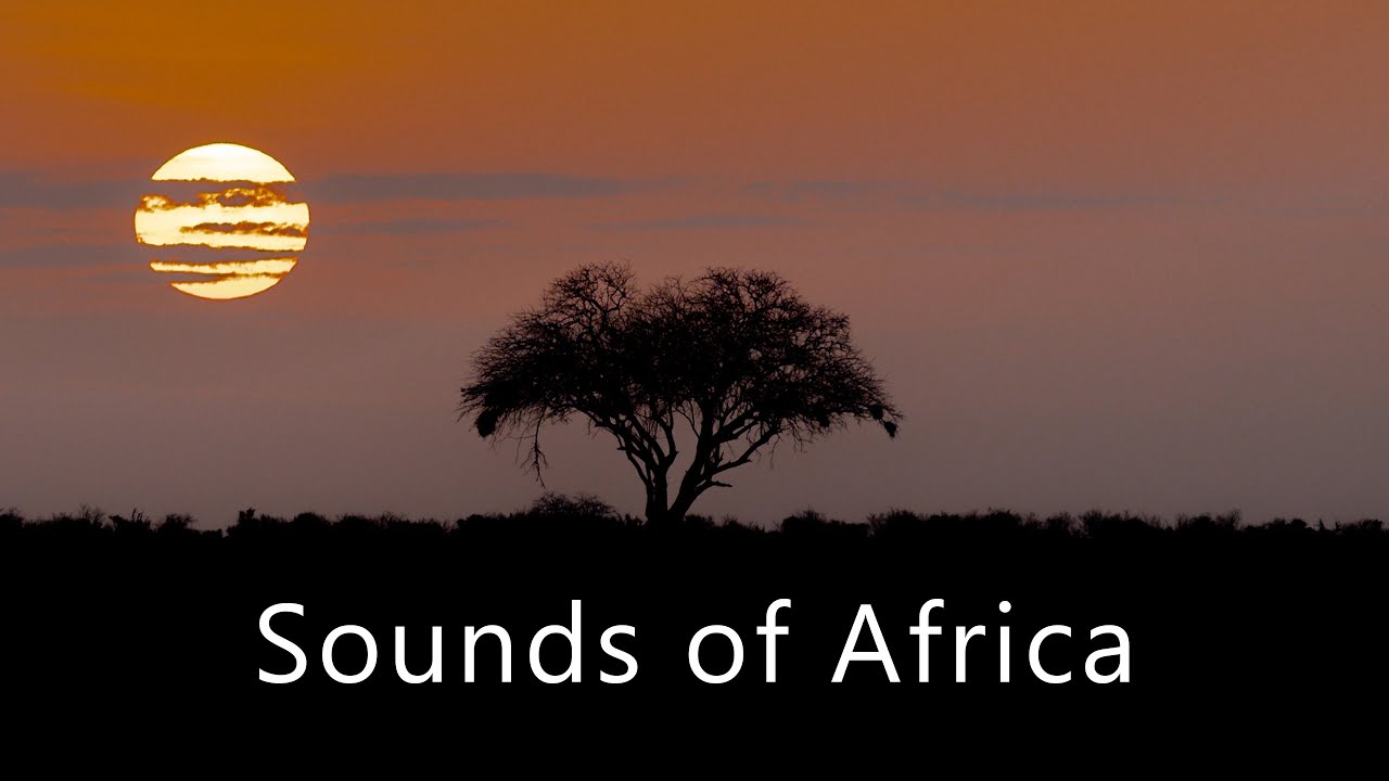 The sounds of the Masai Mara at night