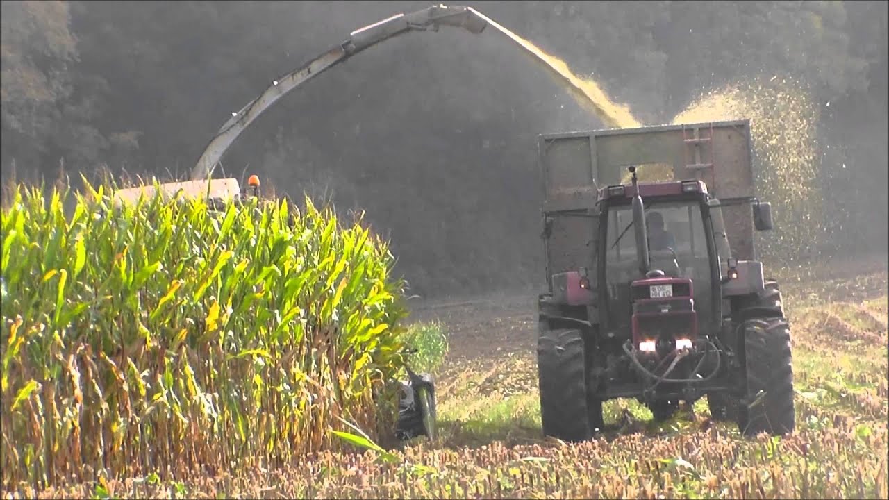 Bioenergie Essenerberg beim Maishäckseln 2014| Sound | Claas Jaguar 950 , 870 . uvm.