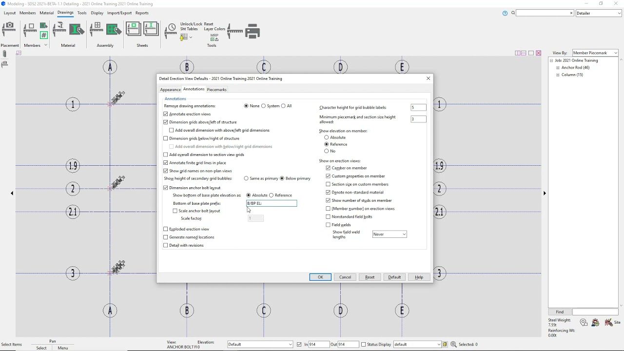 SDS2 2021 Getting Started: Detail Erection Views (IN)