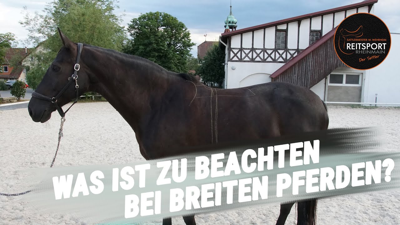 Was ist zu beachten bei breiten Pferden ? |Reitsport-Rheinmain