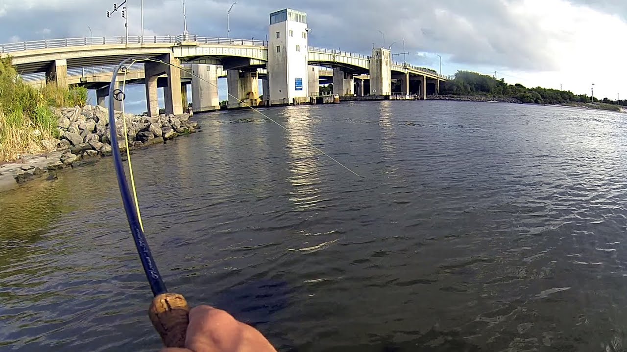 GROUPER & JACK - EXOTIC LONG ISLAND NY SALTWATER FLY FISHING - BLUEFISH & RARE SPECIES!!!