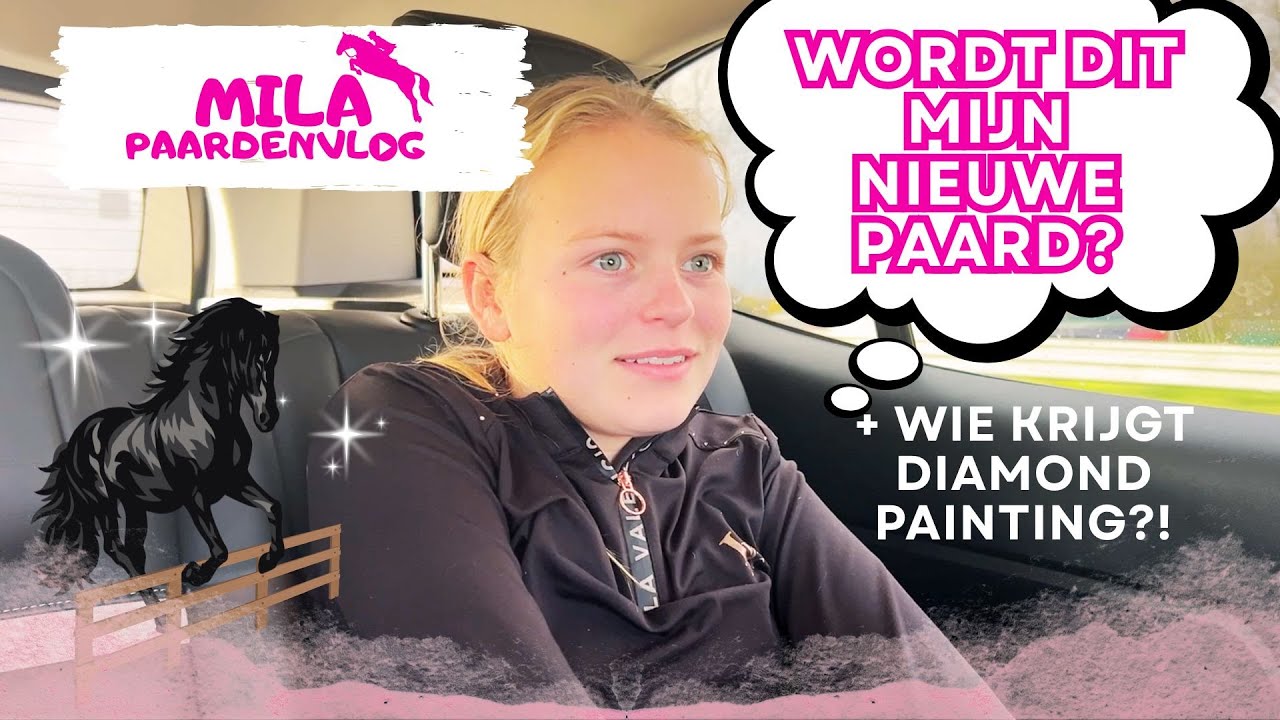 Op zoek naar een paard + wie krijgt diamond painting?