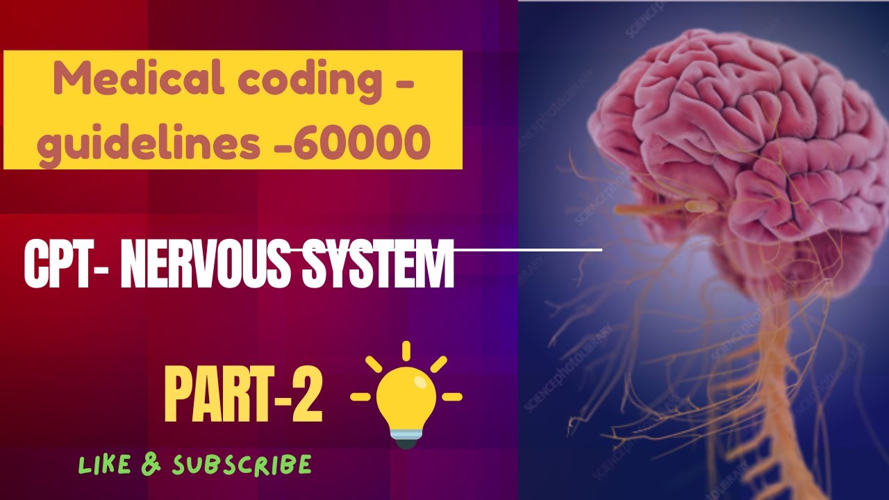 CPT- Nervous system- 60000 series - part-2
