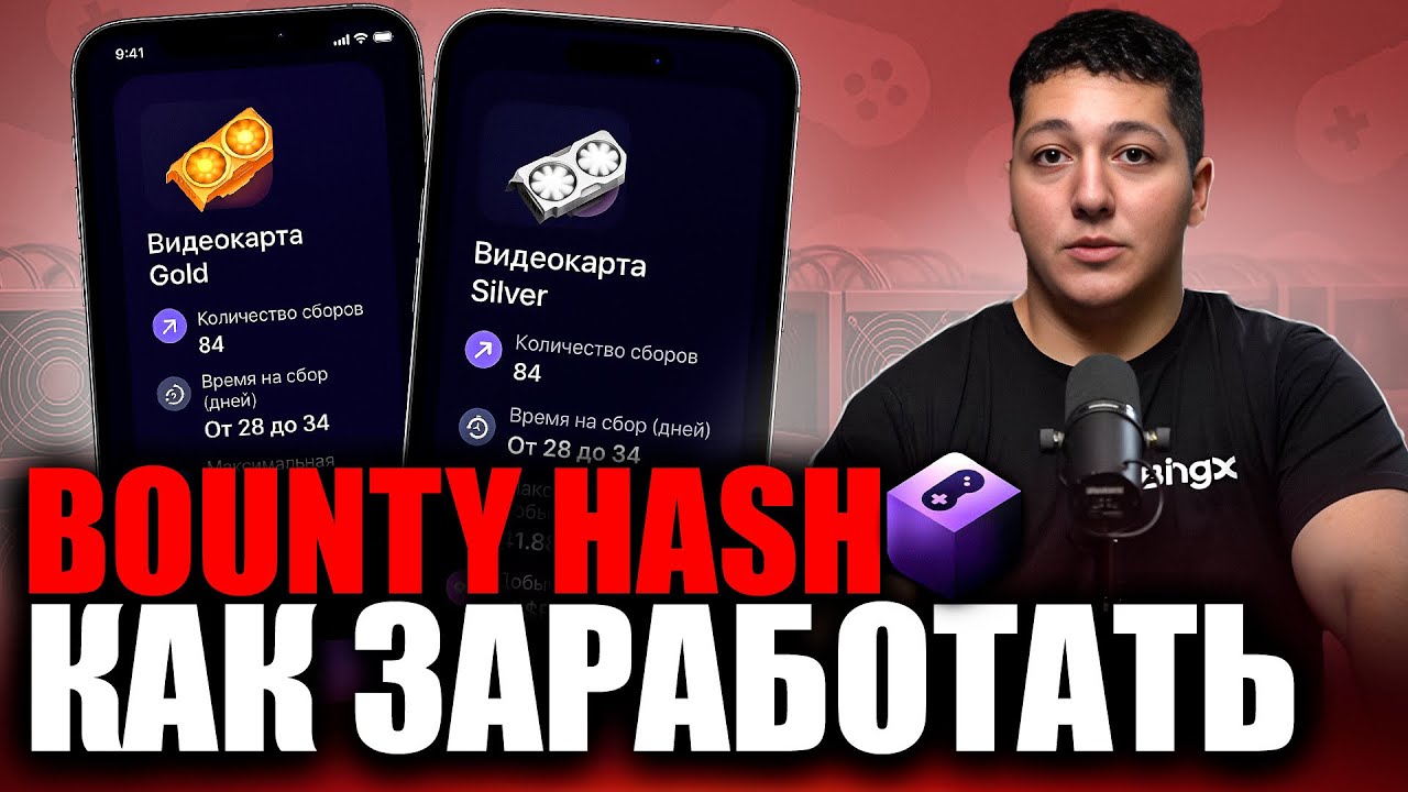 Bounty Hash | Как заработать?