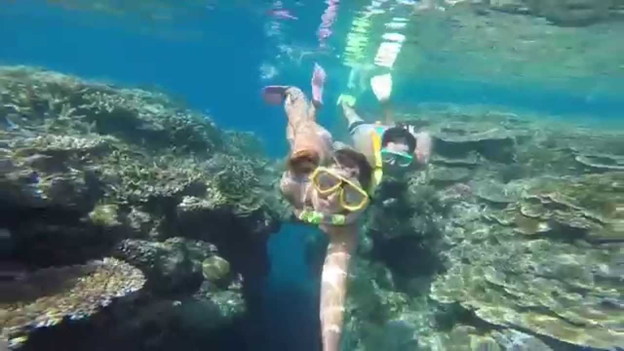 Fitzroy Island and Great Barrier Reef: Snorkel and GoPro