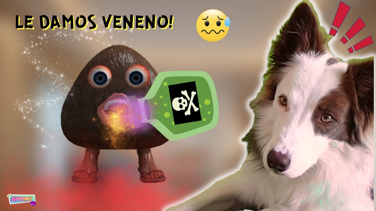 Le Damos VENENO a POU y pasa ÉSTO! Mel Gamer