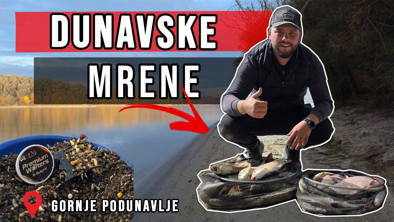 Pecanje MRENE na Dunavu – NEVEROVATAN FEEDER DAN