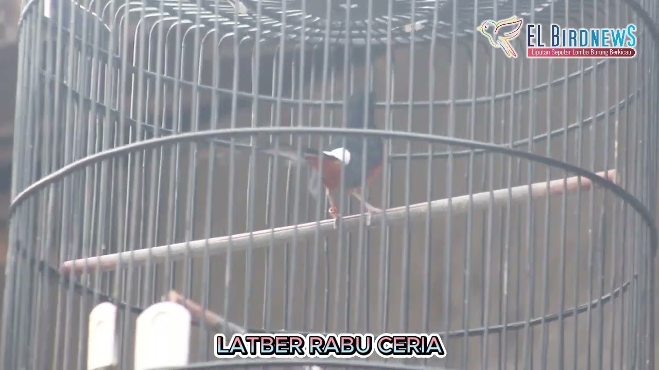 latberan durasi 10an menit dulu ,,biar kalo dievent nggak kaget