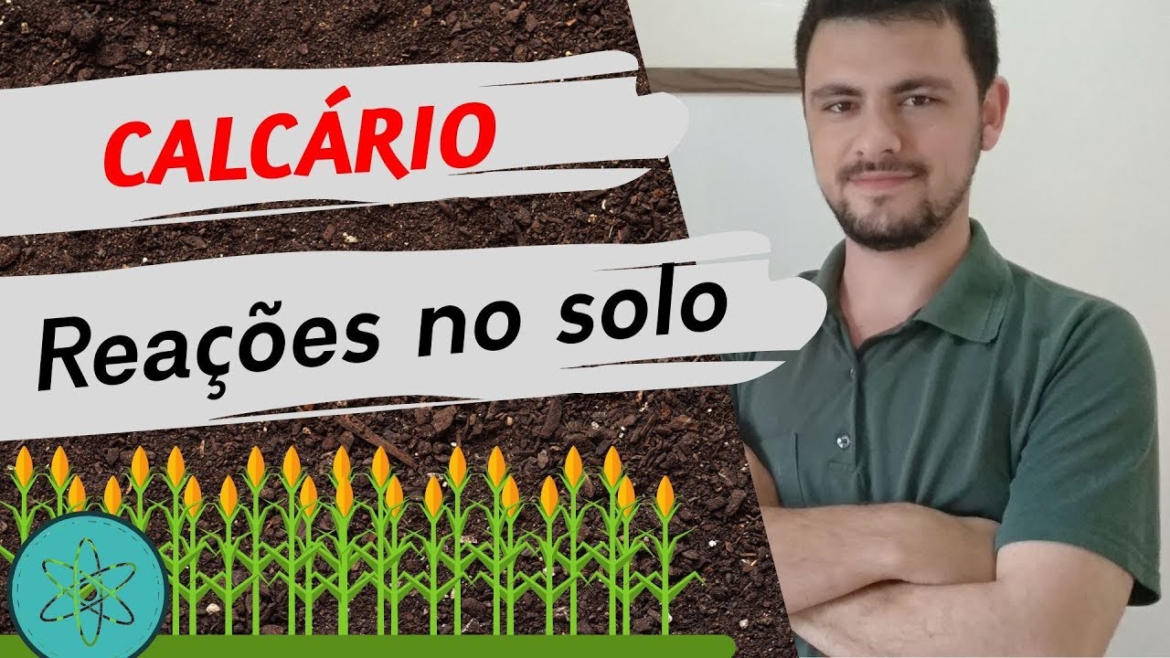 Afinal como o Calc&aacute;rio neutraliza a acidez do SOLO