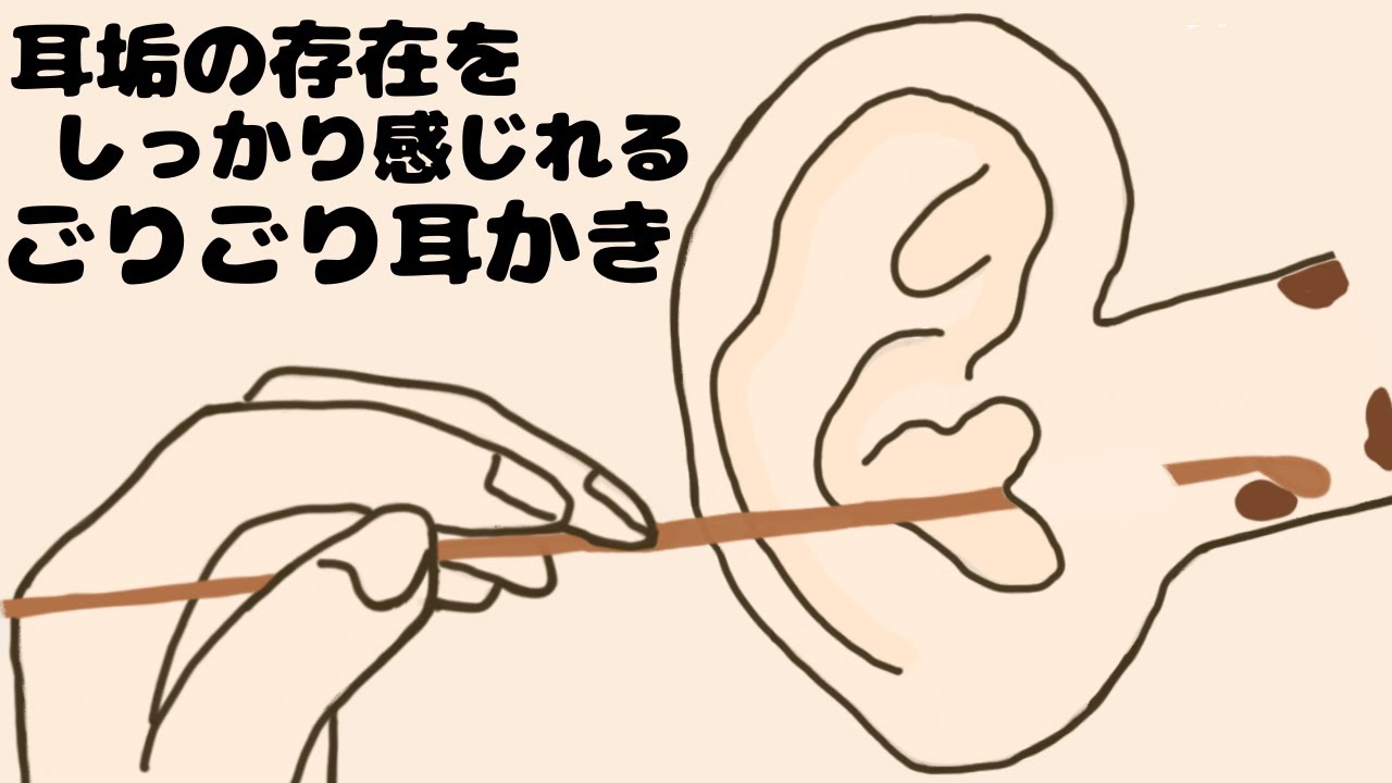 【ASMR】耳垢の存在をしっかり感じれるごりごり耳かき Ear Cleaning【No Talking】