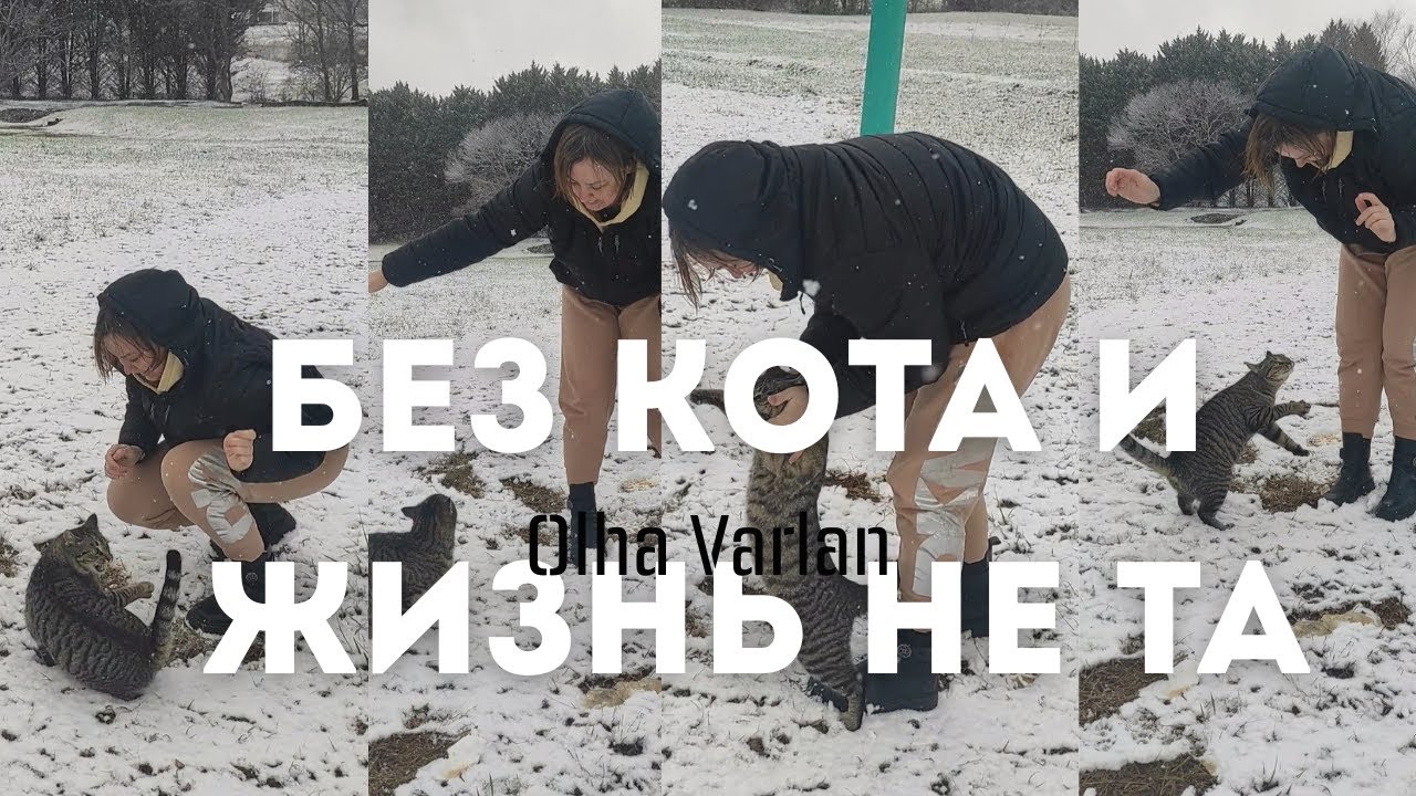 Кот и снег — лучшее зимнее настроение ❄️