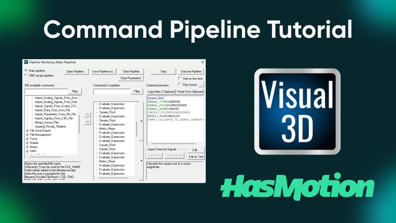 Visual3D Tutorial 3: Command Pipeline