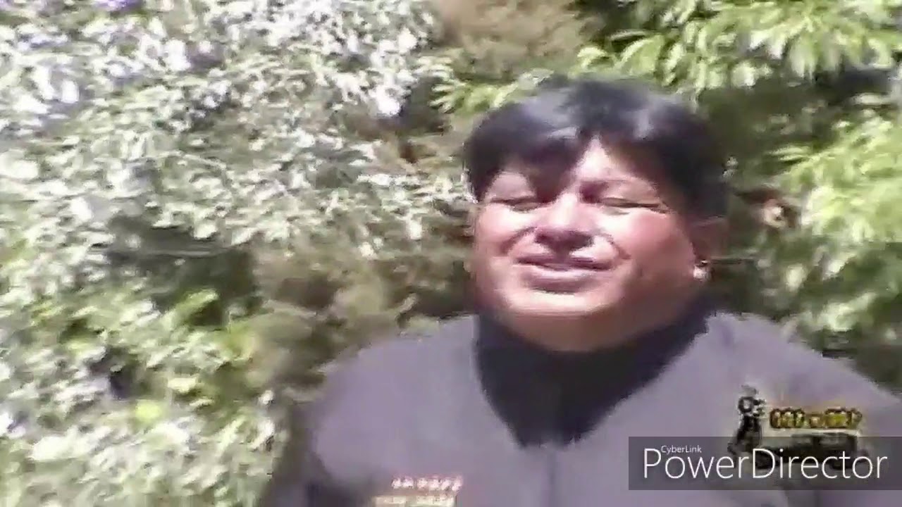 NIDITO DE AMOR