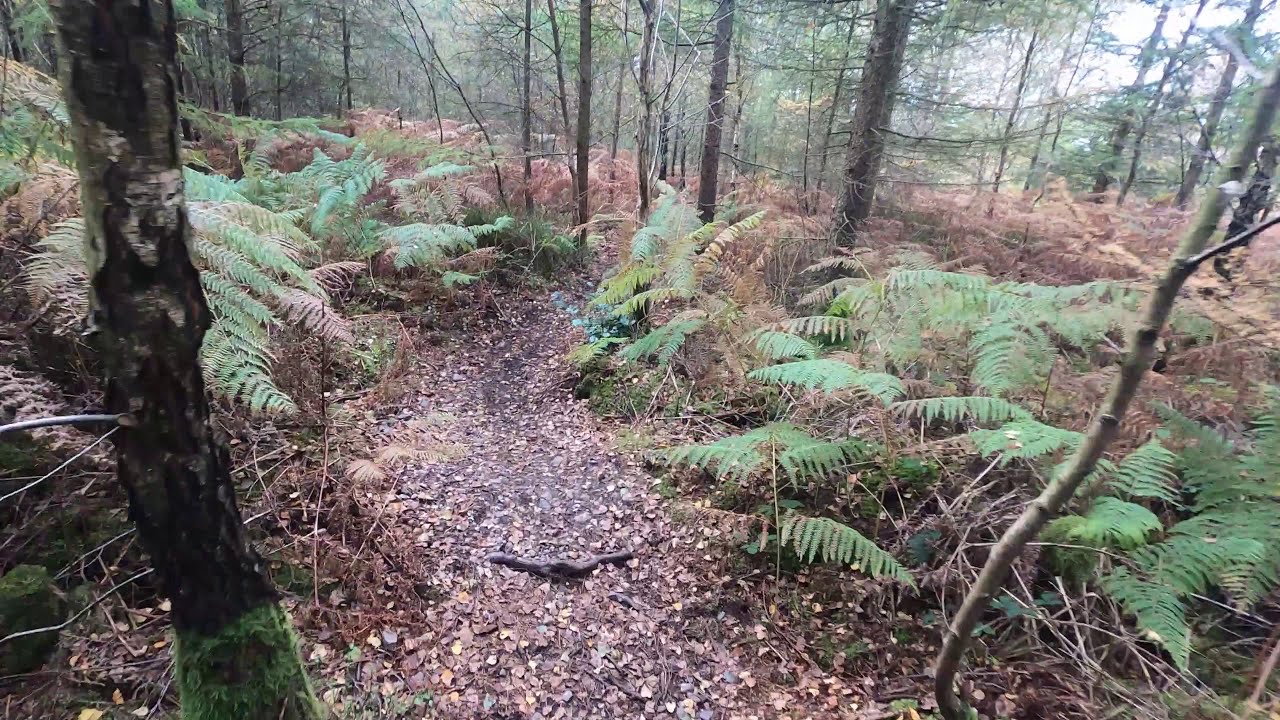 hanchurch woods mtb loop