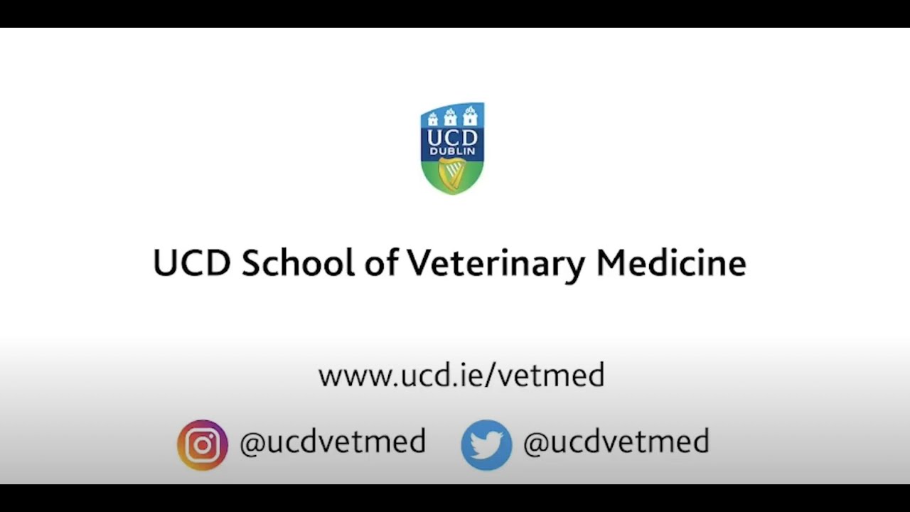 UCD School of Veterinary Medicine - Graduate Entry Veterinary Medicine (MVB) Programme 2022/2023