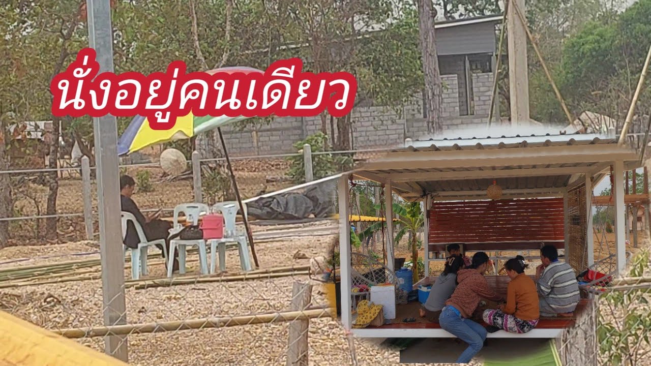 นั่งแยงเสาเฮือนแบบบ่สนใจใผเลยเนาะอัมรา