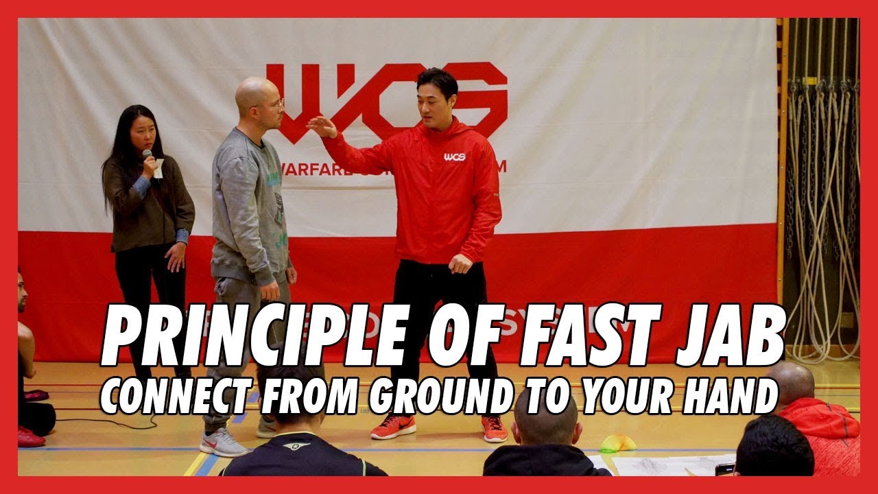 Principle of Fast jab (Connect from ground to your hand) - DK Yoo