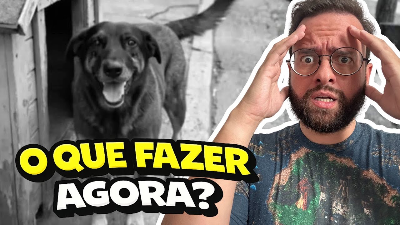 O Caso Orelha