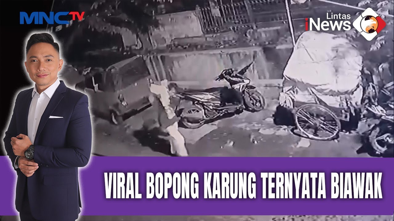 Heboh Bopong Karung, Ternyata Biawak | LIS (10/02)