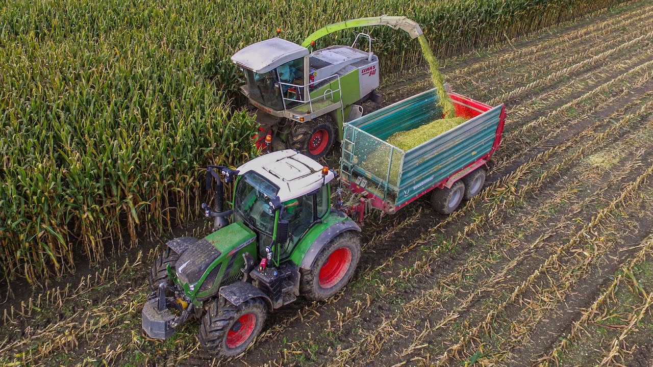 Corn Silage 2019 | Slovenia | FENDT 516 VARIO