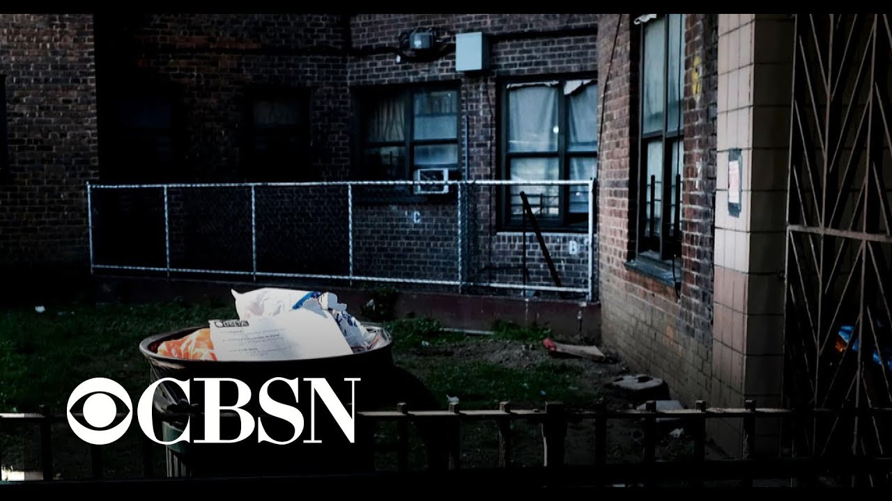 New York City's public housing 