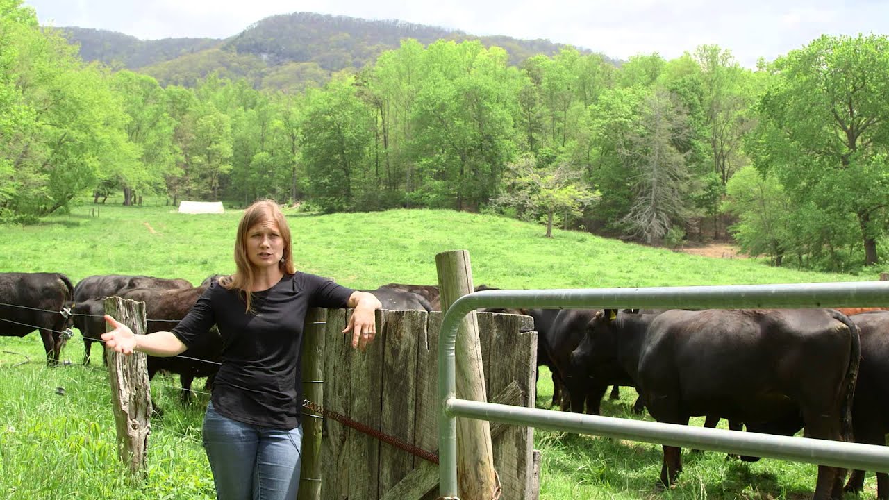 Amy Ager - Hickory Nut Gap Farm in Fairview, NC