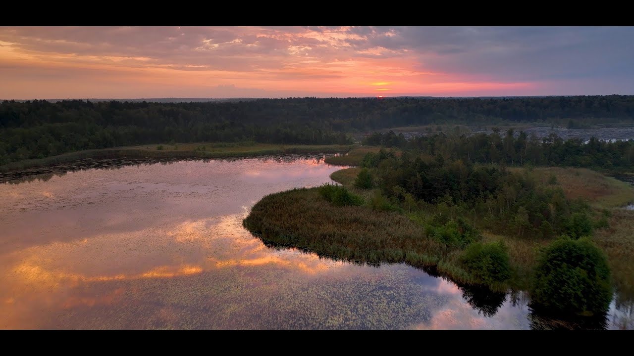 Piękno łódzkich lasów