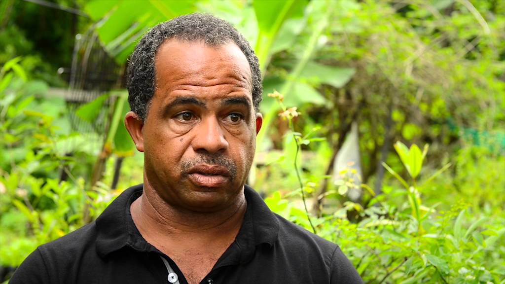 Vidéo 41 : Exploitation de plantes médicinales