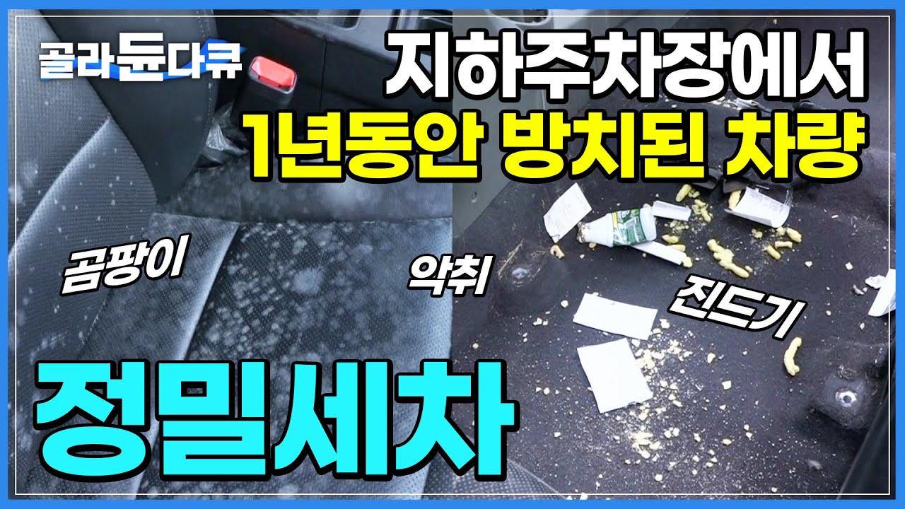 시트는 물론 내장재까지 탈거해서 진행하는 '정밀세차' | 