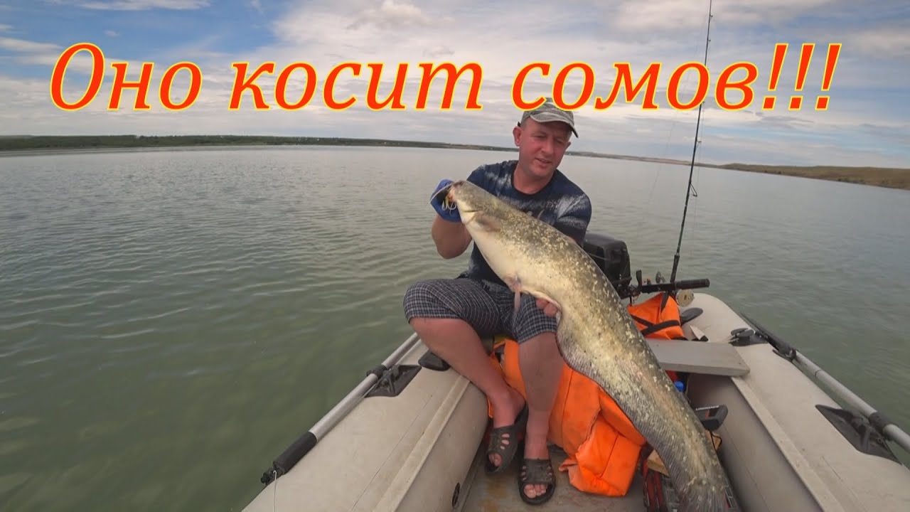 Сом на квок  Новое удилище косит сомов