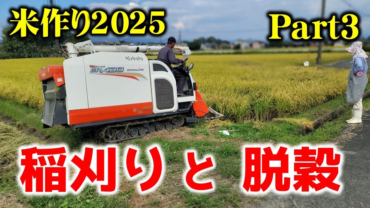 【米作り2025】Part3 , 今回は稲刈り～脱穀の動画です。なかなか見れない貴重な映像ですよ。（三郎の仕事,地域情報,地域活動)