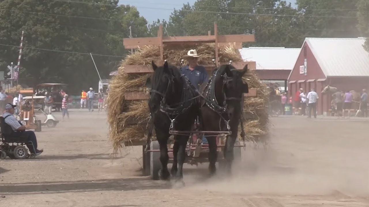 Old Threshers Reunion - Mt Pleasant, Iowa