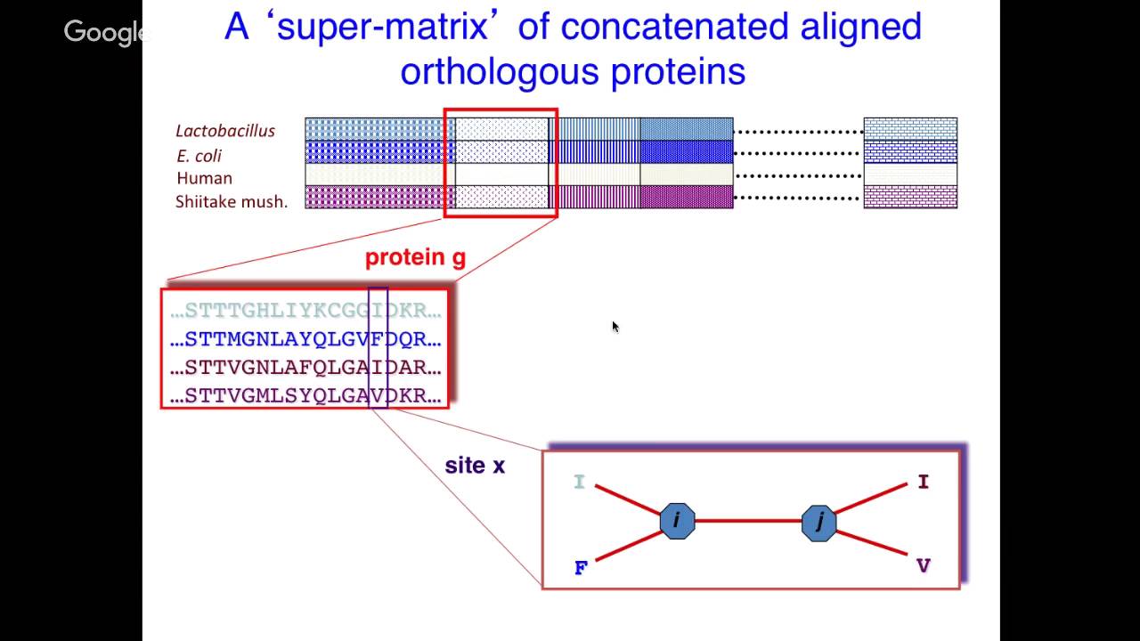 Phyloseminar #60: Andrew Roger (Dalhousie)