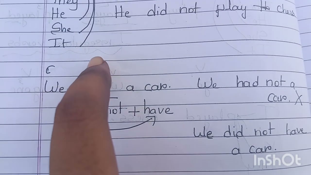 Simple past tense, regular verbs and irregular verbs, positive sentence into negative sentence DSC.