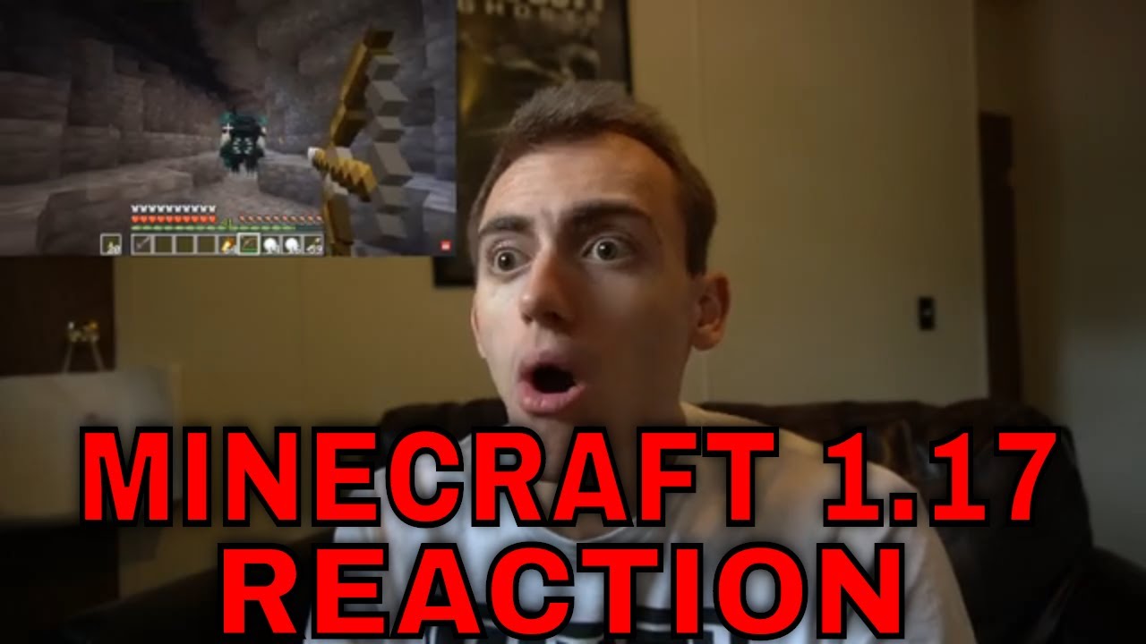 Minecraft 1.17 Caves & Cliffs Update Reaction