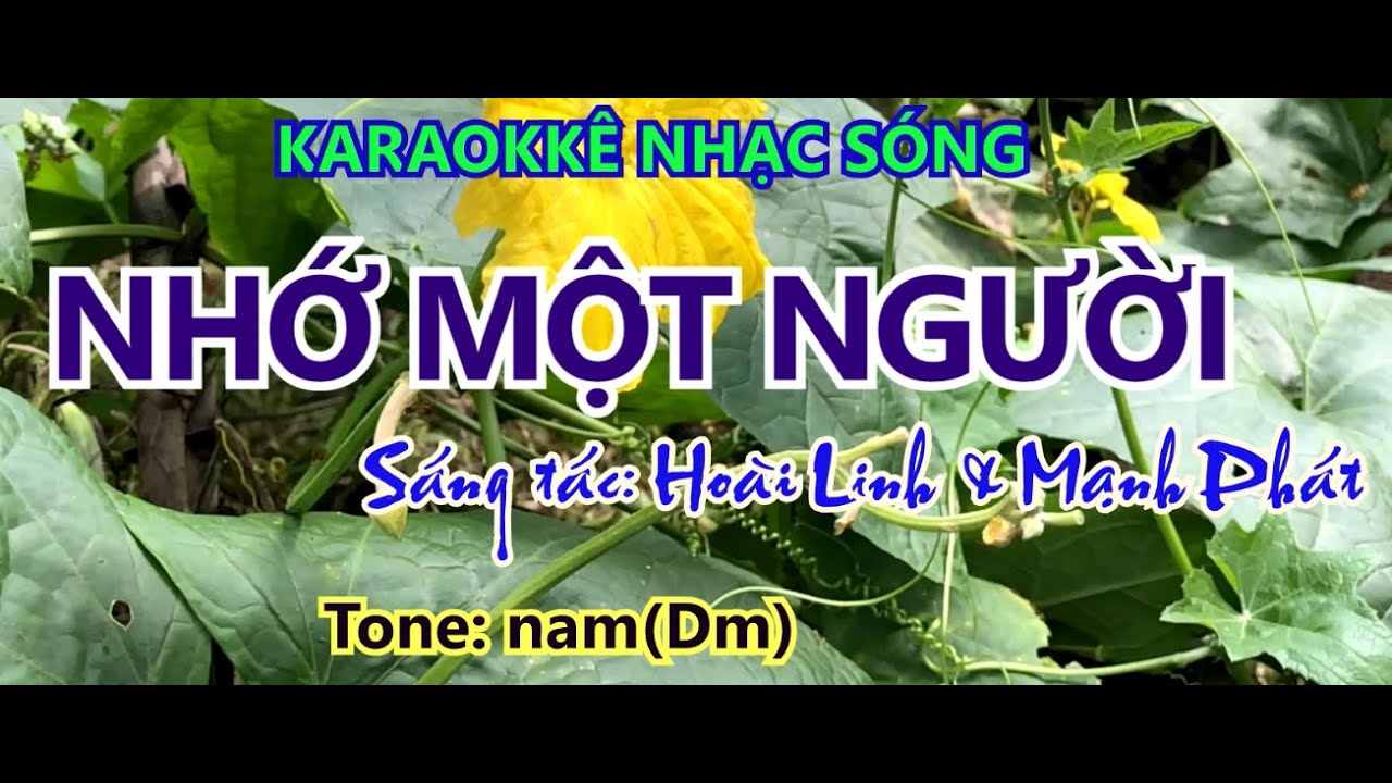 KARAOKE Nhớ một người - tone nam (Dm) - organ&ghita - nhạc sóng Hoàng Chung 2022