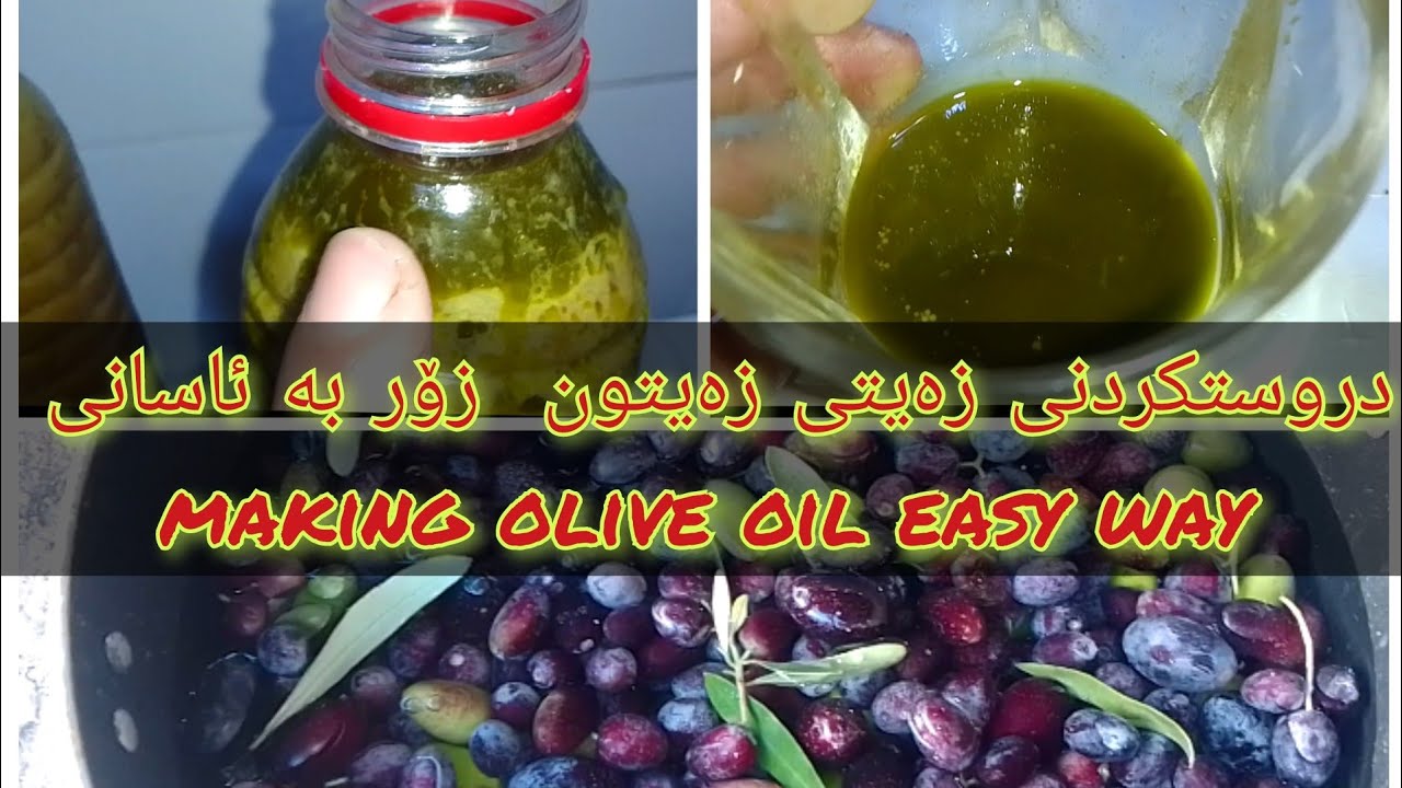 دروستکردنی زەیتی زەیتون بە ئاسانی making olive oil very easy in home