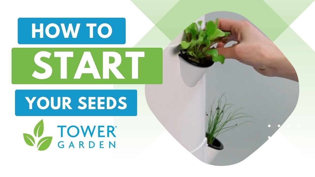 Start Seeds and Transplant Seedlings on Your Tower Garden&reg;