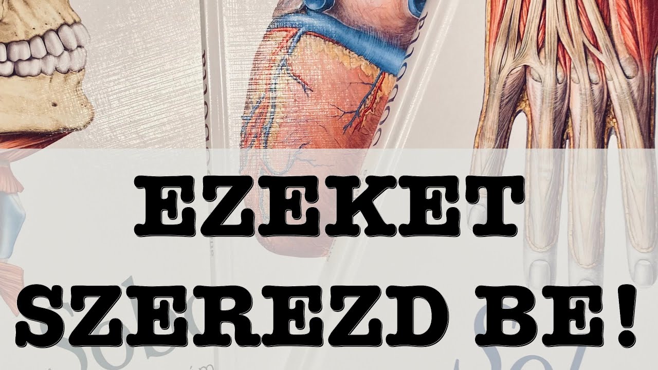 Ez a HÉT könyv legyen meg első félévben!