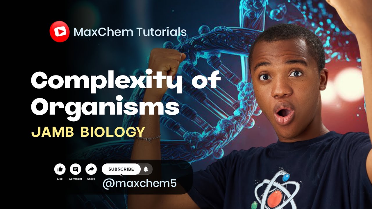 Организация жизни! Клетки, ткани, органы и системы (биология, экзамен JAMB)