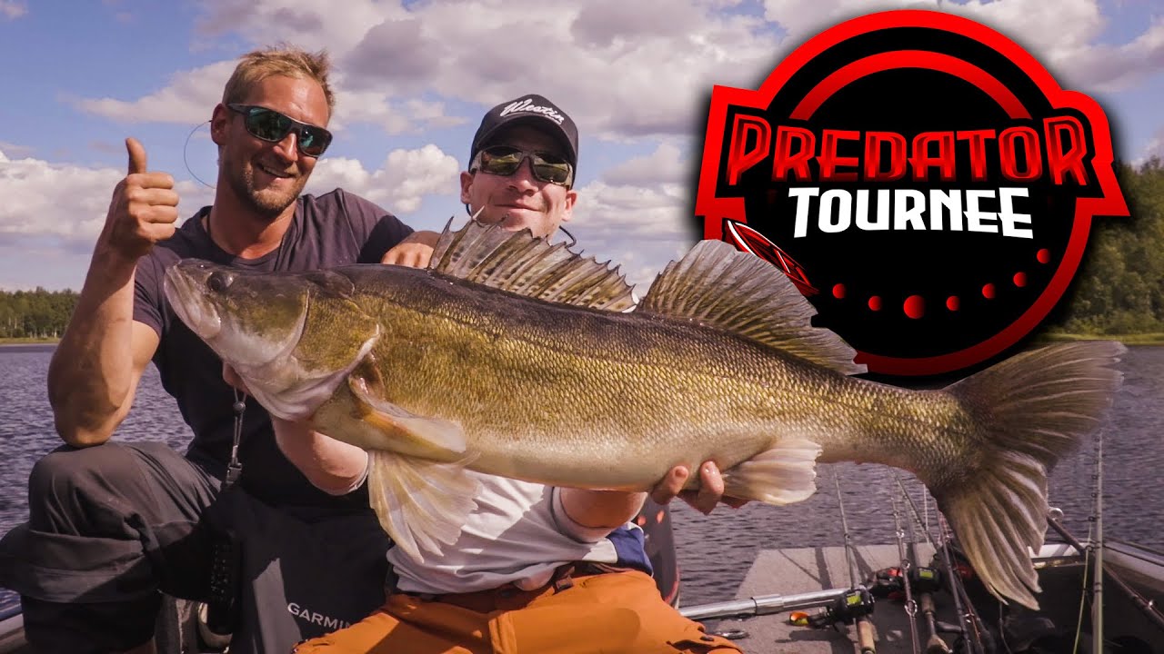 PREDATOR TOURNEE