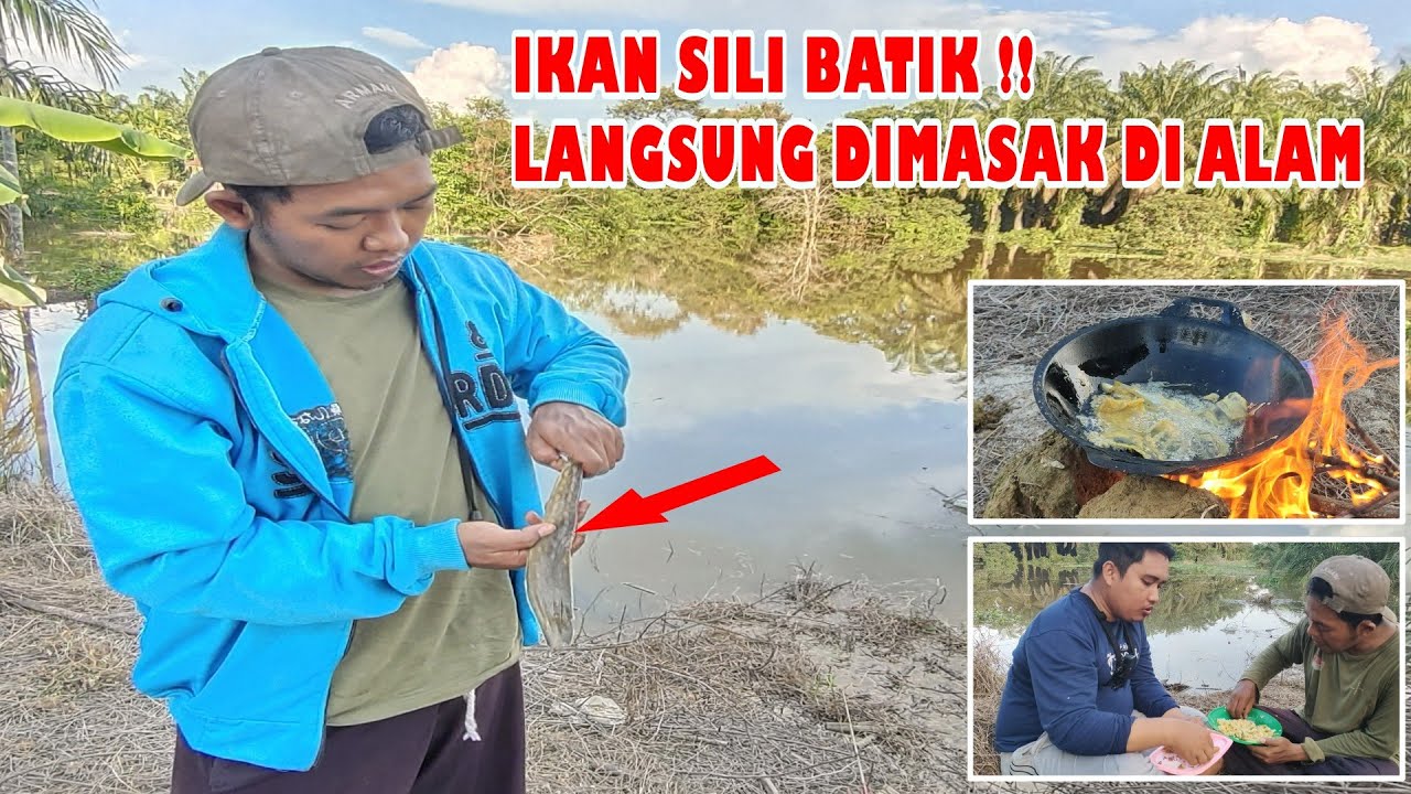 🍃IKAN SILI BATIK‼️LANGSUNG DI MASAK DI ALAM 