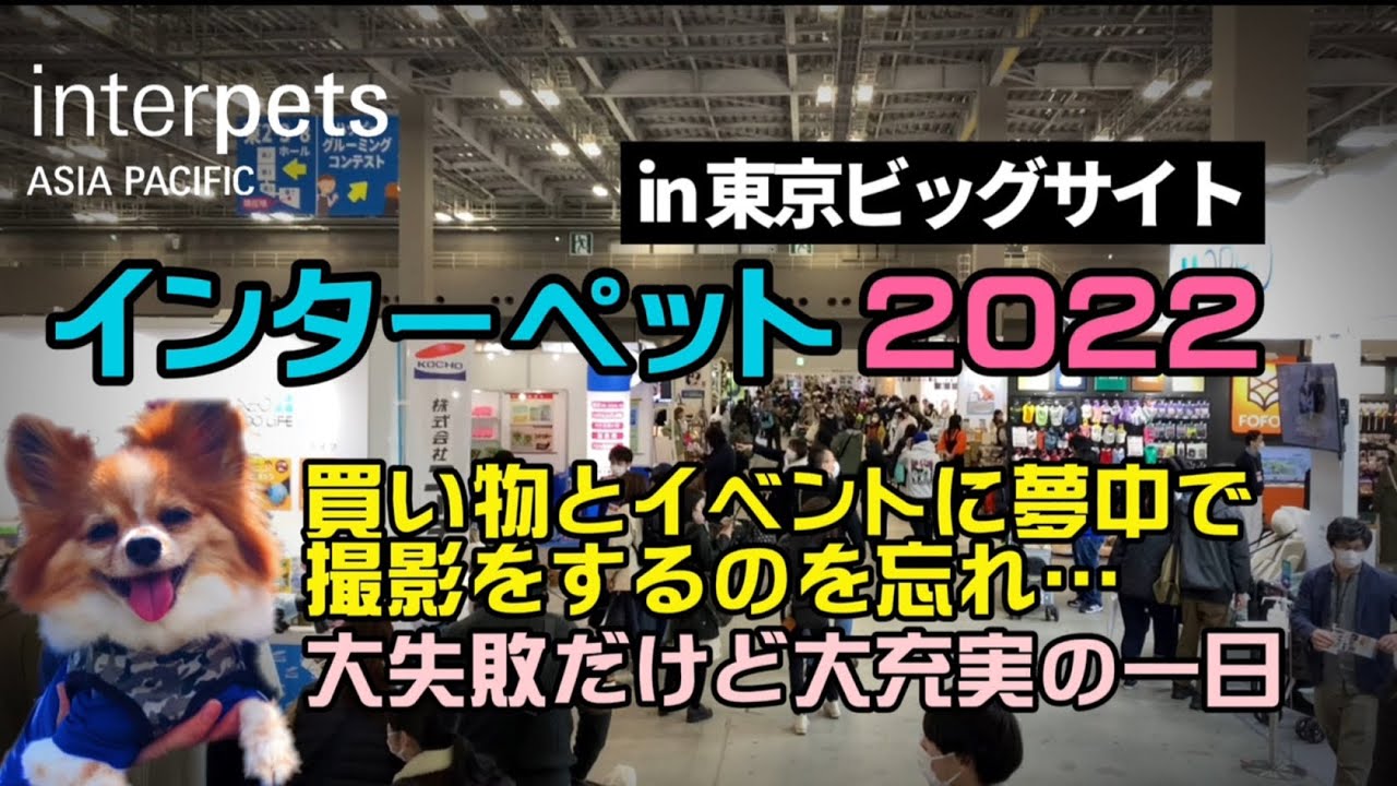 【インターペット 2022 in東京ビッグサイト】撮影し忘れるくらい大充実の一日【パピヨン犬ビビりなノエルくん】