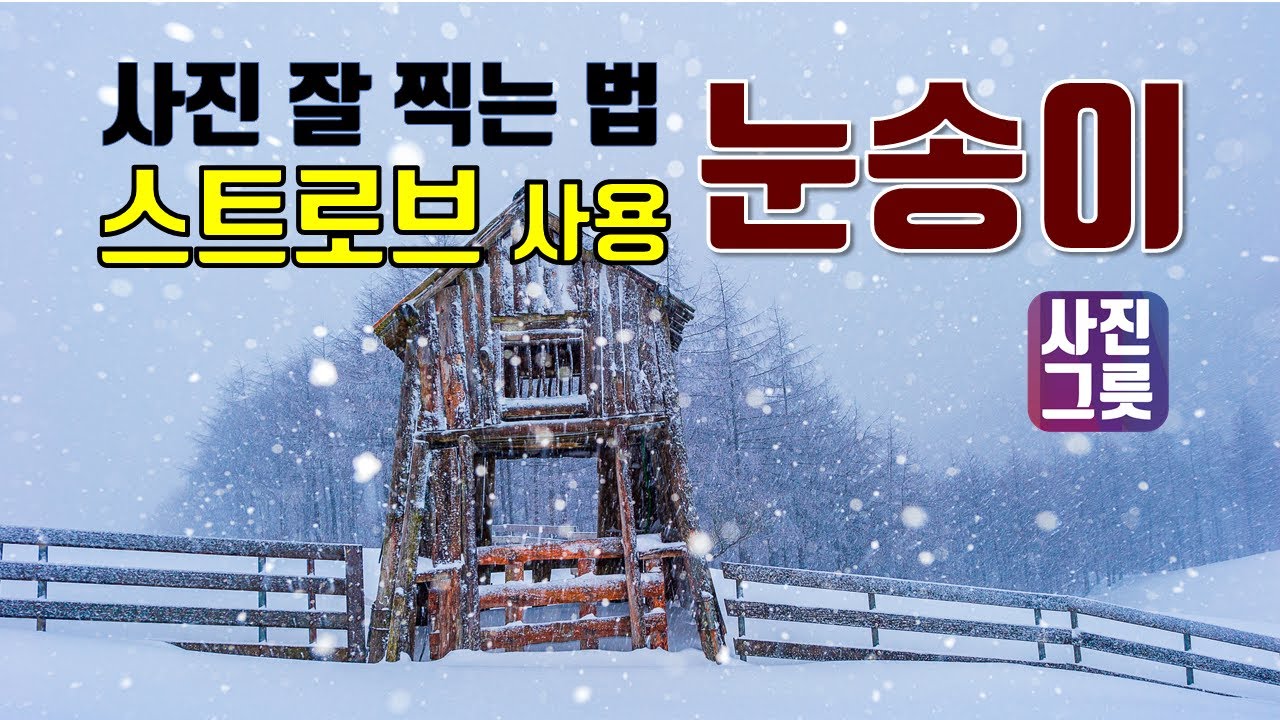 겨울 눈 사진 잘 찍는 법