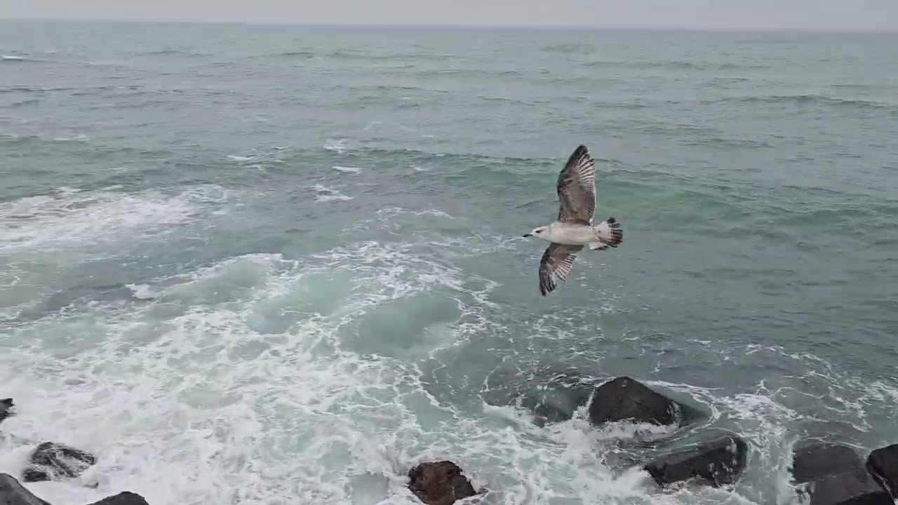 Mare valuri iarna